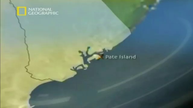 science смотреть онлайн