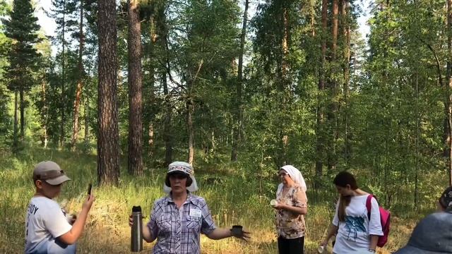 Экскурсия в сосновый бор. Санаторий «Бузулукский бор»