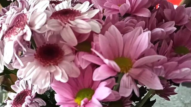 Латвия / Празднуем День Победы и День Матери / Новые Лампы / Ruta Vlog / Рига смотреть онлайн