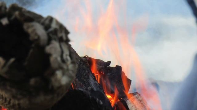 Кильмезь. Лето 2019. Природа, цветы, грибы, лес смотреть онлайн