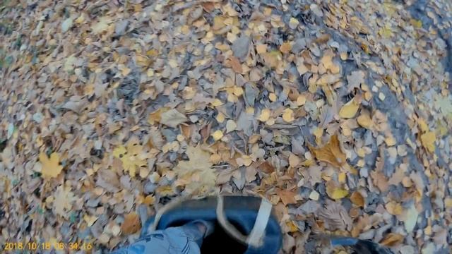 Коп в ближнем подмосковье.Осень 2018. Металлоискатель Фортуна М3 смотреть онлайн