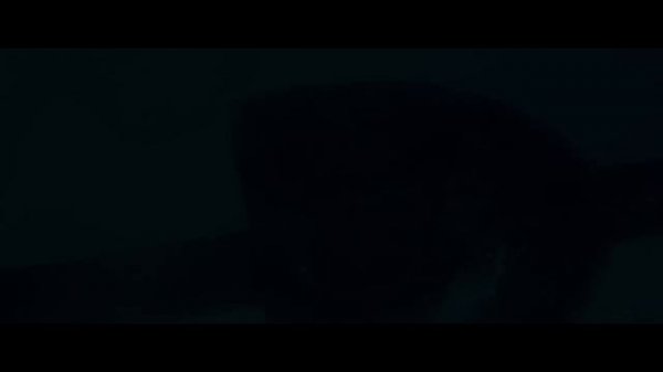 Master and Commander violin cello duet