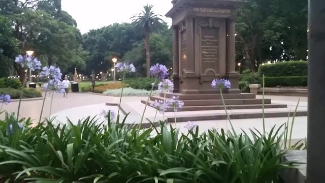 Нашествие бабочек - мотыльков, похожих на моль под Новый год в Сиднее смотреть онлайн