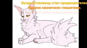 история и факты о Буране(коты воители)