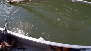 НА ДЕДОВСКИЙ МЕТОД. Спиннинг Отдыхает. РЫБАЛКА на Снасточку. Ловля ЩУКИ