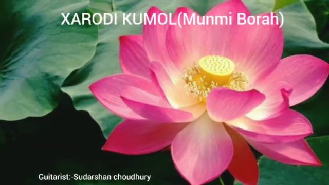 Xarodi kumol guitar instrumental(Sudarshan) смотреть онлайн