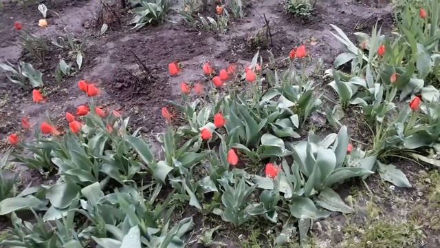 Попросили Смыть Макияж Перед Собеседованием?Какое Мороженое Я Выбираю?Белковый Суп Для Похудения?