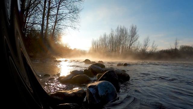 Пение птиц/успокаивающие звуки природы/ шум леса/ для медитации и сна смотреть онлайн