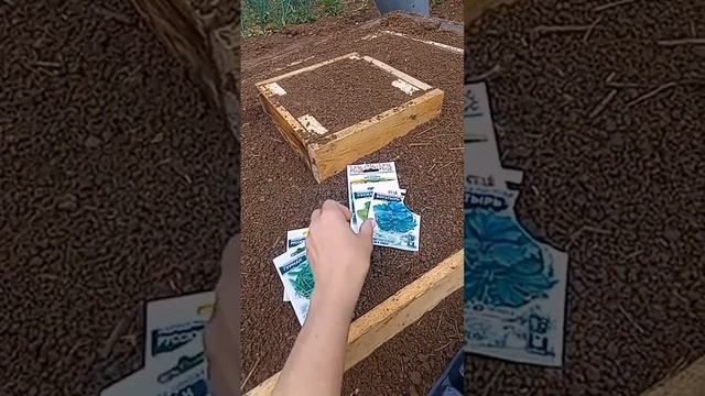 как экономить место в огороде? #дача #shortvideo #subscribe смотреть онлайн