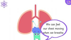 Human Body Organs | Science For Kids | STEM Home Learning