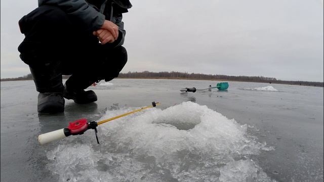 Поиск новых рыболовных мест. Ловля ротана. Никитское озеро (Нижний Новгород) смотреть онлайн