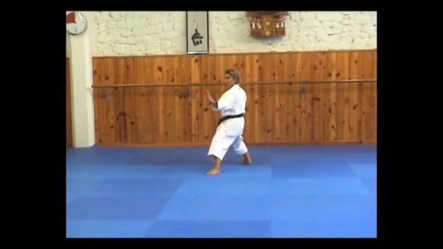 Heian Shodan (LENT & DYNAMIQUE) : Shotokan Karate Kata by Jessica & Sabrina BUIL смотреть онлайн