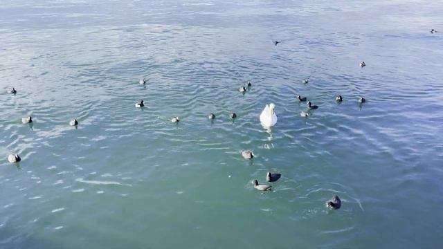 Севастополь меняется - как живет русский город Крыма в 2023 году. Наши участники Клуба Крым Онлайн. смотреть онлайн