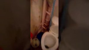 Нашел ключи соседа от подвала Hello Neidbor