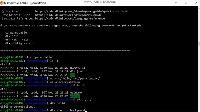 Getting Started Dfinity SDK Guide смотреть онлайн