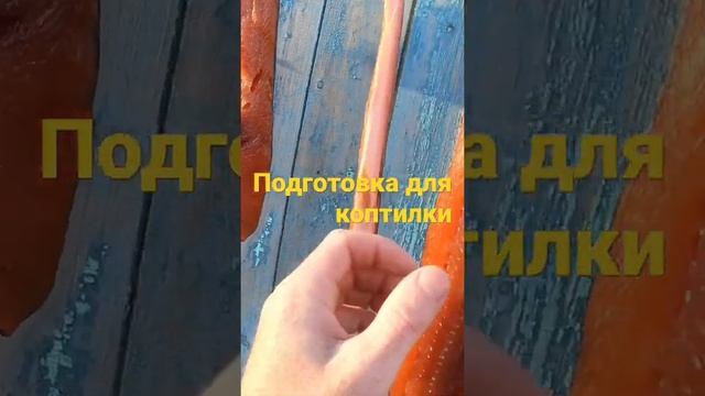 Подготовка для копчения.#salmon #коптим #коптильня #лосось #горбуша #сима #кета #кунджа #ярик_рыбак смотреть онлайн