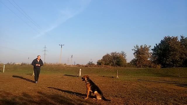 Занятия на площадке Староминская смотреть онлайн