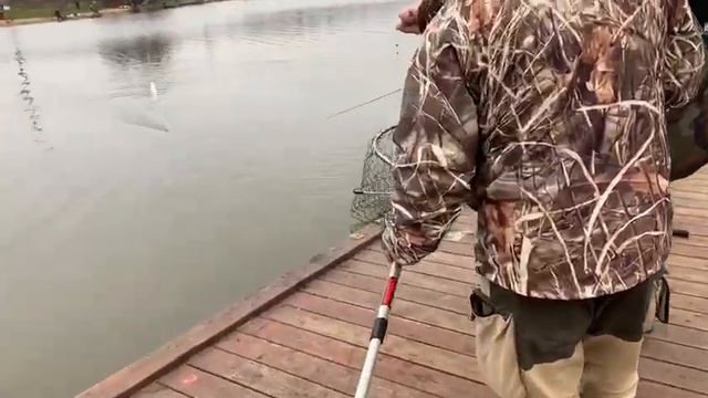 Поимка форели на длинном пирсе! Наши гости помогают друг другу РК "Марлин" смотреть онлайн