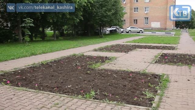 Зеленая атмосфера