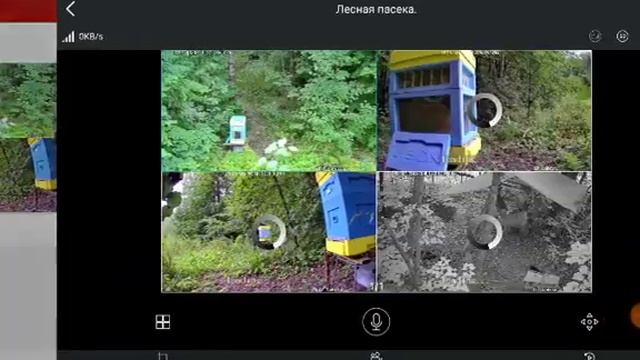 Получите чистый мед, возьмите улей в аренду. смотреть онлайн
