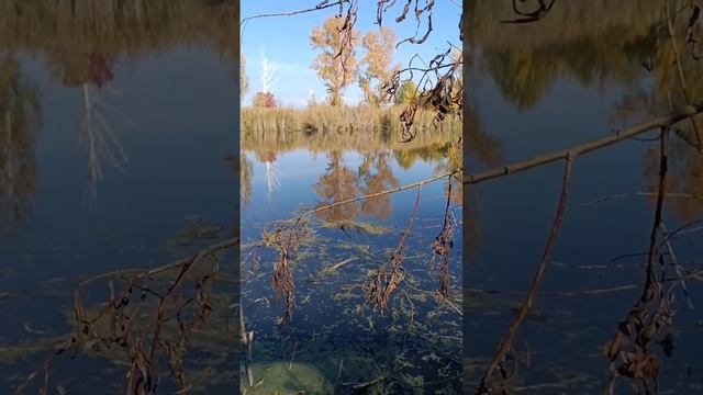 Рассказы рыбака. смотреть онлайн