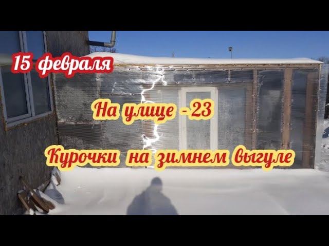 На улице минус 23. Куры на зимнем выгуле... смотреть онлайн