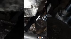 МЛ 164  Подкапывают шланги гидроусилителя. Замена резиновых колец.