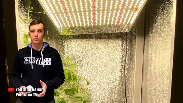 ПОДСВЕТКА РАССАДЫ! ИСПЫТАЛ НА РАССАДЕ ВСЕ ТИПЫ ЛАМП И ОБАЛДЕЛ ОТ РЕЗУЛЬТАТОВ! ЧЕМ ЛУЧШЕ ПОДСВЕЧИВАТЬ смотреть онлайн