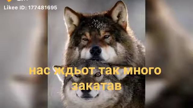 Я всегда рядом смотреть онлайн