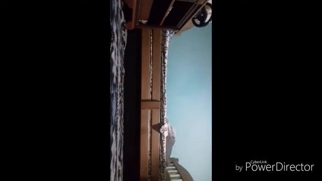 Отжимания +10 кг смотреть онлайн