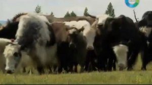 Тюрки России Республика Тыва. (2012)