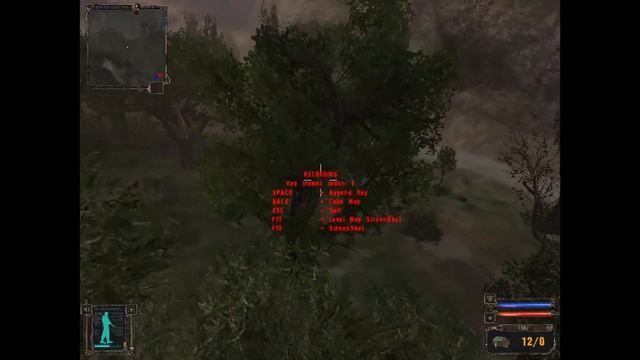 S.T.A.L.K.E.R. - Тень Чернобыля (билд 2571). Исследую Тёмную Лощину. №15 смотреть онлайн