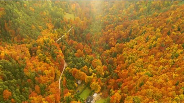 Расслабляющая музыка, чтобы успокоить разум, перестать думать • расслабляющая музыка, чтобы спать # смотреть онлайн