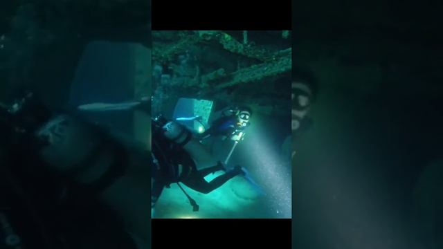 diving. underwater swimming. ocean. sunken ship.shorts/дайвинг. плавонье.океан.затонувший корабль. смотреть онлайн