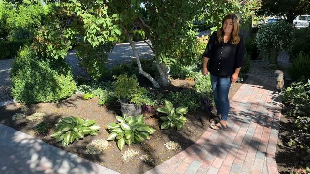 September Garden Tour - Part One! 🌿🍂🥰 // Garden Answer смотреть онлайн