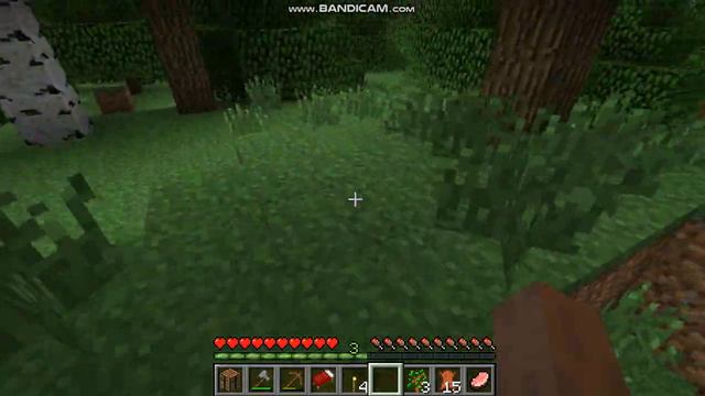 Minecraft Nostalgia 1