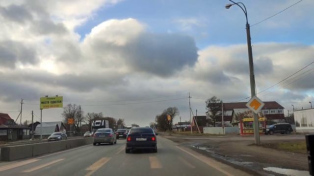 Сибирские кедры на Владимирской земле))) смотреть онлайн