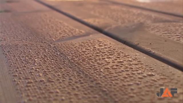 Термососна LUNAWOOD в компании JAF