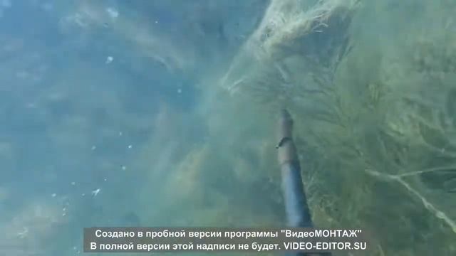подводная охота март 2020 смотреть онлайн