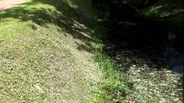 зарисовки выходного дня выпуск 10 Музей заповедник Кусково этюд смотреть онлайн