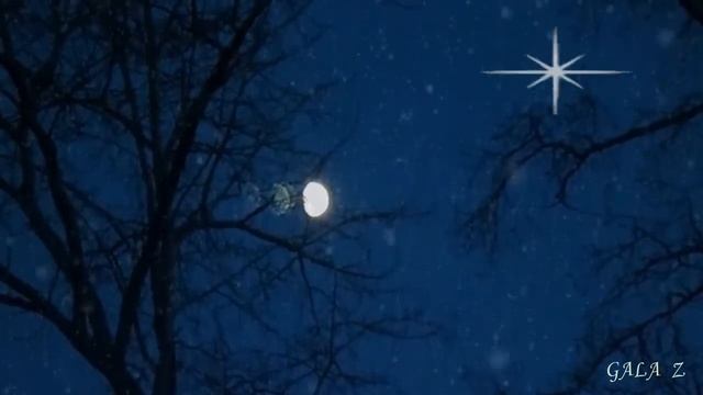 ГДЕ НАЙТИ ЛЮБОВЬ Сл Т КУТАШЕВА Муз ,Исп Р АЛЕКСЕЕВА Монт Г ЗНАМЕНСКАЯ смотреть онлайн