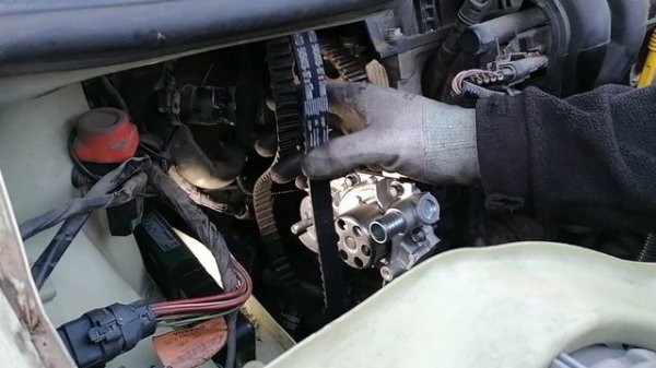 Distribution Renault Twingo 1.2 60 cv / Timing Belt Renault Twingo 1.2