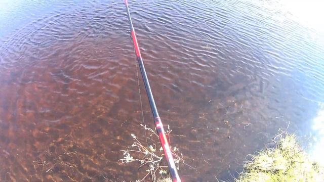 рыбалка в мурманской обл! Выезд на незнакомую реку! ловля хариуса! смотреть онлайн