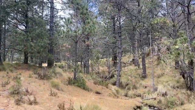 Templo Getsemani III - Mexico смотреть онлайн