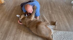 Как трогательно пума Месси проявляет свои чувства к Саше!