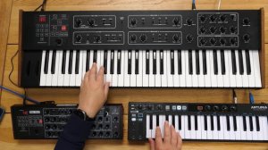 Behringer Pro 800 vs Prophet 600 // SOUNDS ONLY