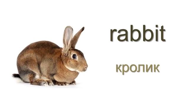 Животные на ферме по-английски [Farm Animals - English Vocabulary Flashcards] смотреть онлайн