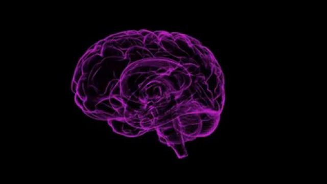 EVENING MEDITATION - GUIDED BY DR JOE DISPENZIA смотреть онлайн