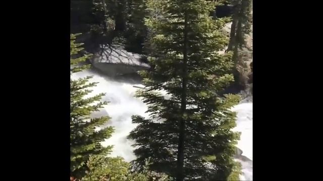 "РАСПУСТИЛА ВОЛОСЫ", слова В.Чачанидзе, исполнение Н.Кожушко смотреть онлайн