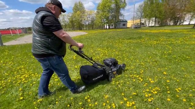 Маневренная и надежная! Газонокосилка бензиновая Caiman Ferro52CV#gardening #покостравы #садоводств смотреть онлайн